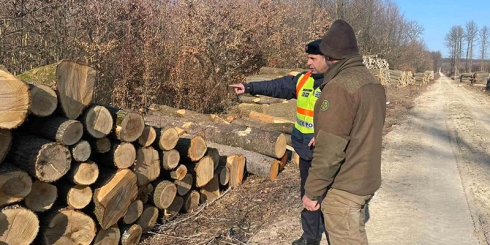 Folyamatos ellenőrzések az erdők védelméért