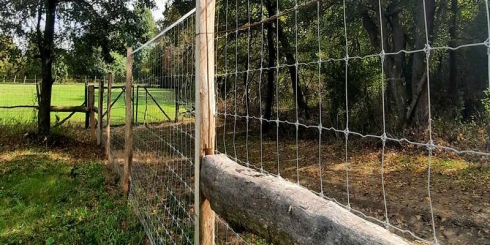 Ajánlattételi felhívás „Vadkárelhárító kerítések építése"