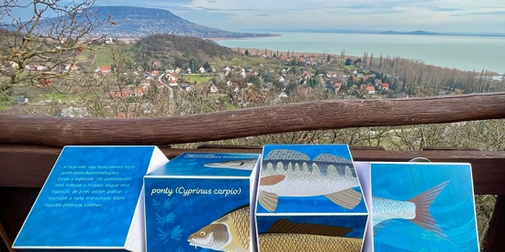 The Balaton viewpoints will be renewed