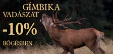 Gímbika vadászat a balatonfüredi vadászterületen