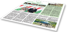 Bakonyerdő Zrt. - Vállalati újság 2024 november